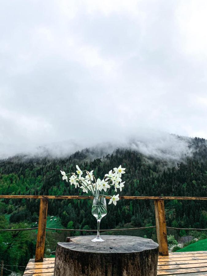 Mitarbi Silence - Cozy Holiday Cottages In Mountains Borjomi Εξωτερικό φωτογραφία