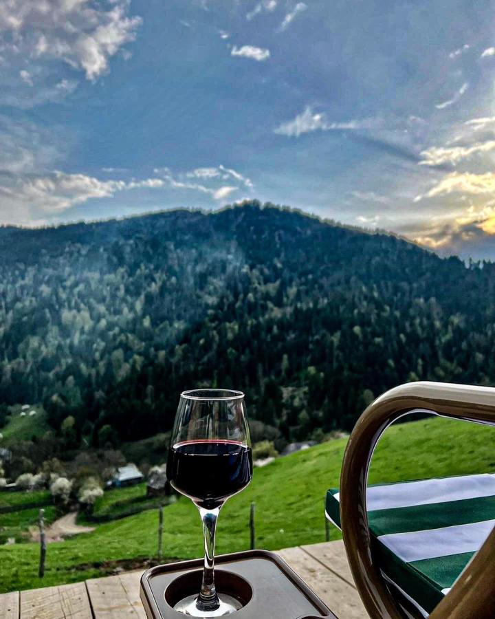 Mitarbi Silence - Cozy Holiday Cottages In Mountains Borjomi Εξωτερικό φωτογραφία