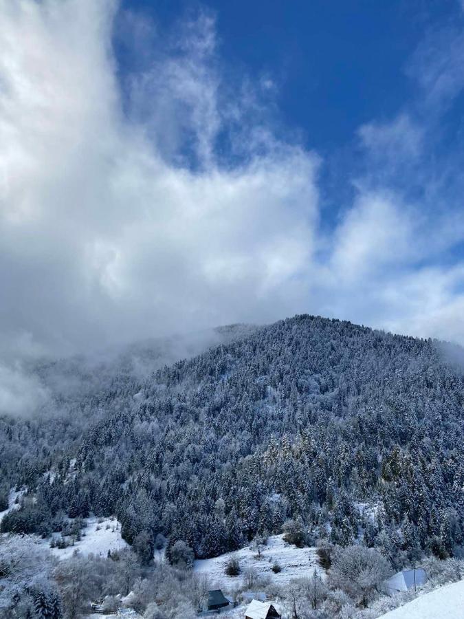 Mitarbi Silence - Cozy Holiday Cottages In Mountains Borjomi Εξωτερικό φωτογραφία
