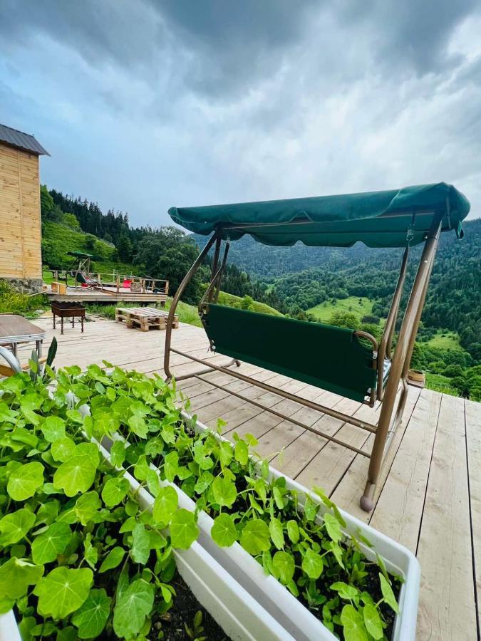 Mitarbi Silence - Cozy Holiday Cottages In Mountains Borjomi Εξωτερικό φωτογραφία