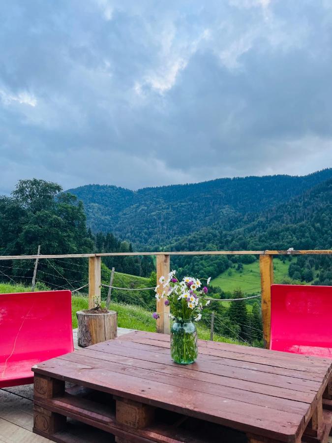Mitarbi Silence - Cozy Holiday Cottages In Mountains Borjomi Εξωτερικό φωτογραφία