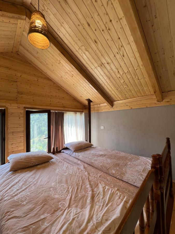 Mitarbi Silence - Cozy Holiday Cottages In Mountains Borjomi Εξωτερικό φωτογραφία