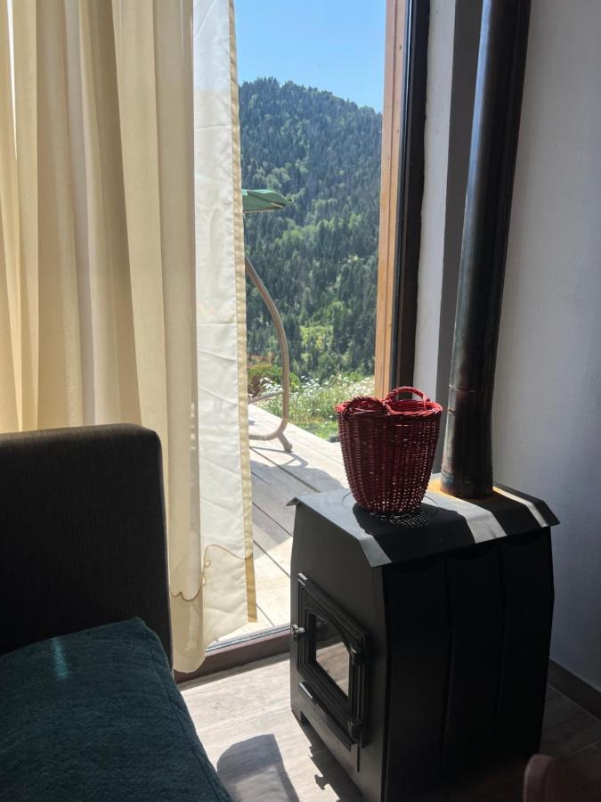 Mitarbi Silence - Cozy Holiday Cottages In Mountains Borjomi Εξωτερικό φωτογραφία