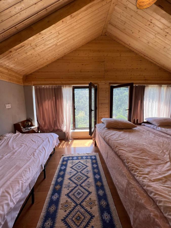 Mitarbi Silence - Cozy Holiday Cottages In Mountains Borjomi Εξωτερικό φωτογραφία