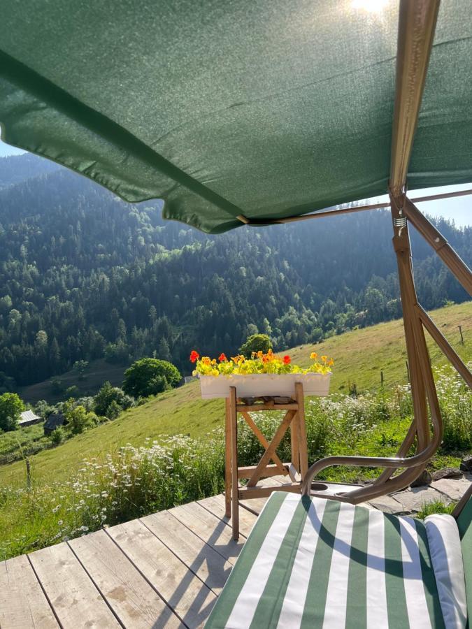 Mitarbi Silence - Cozy Holiday Cottages In Mountains Borjomi Εξωτερικό φωτογραφία
