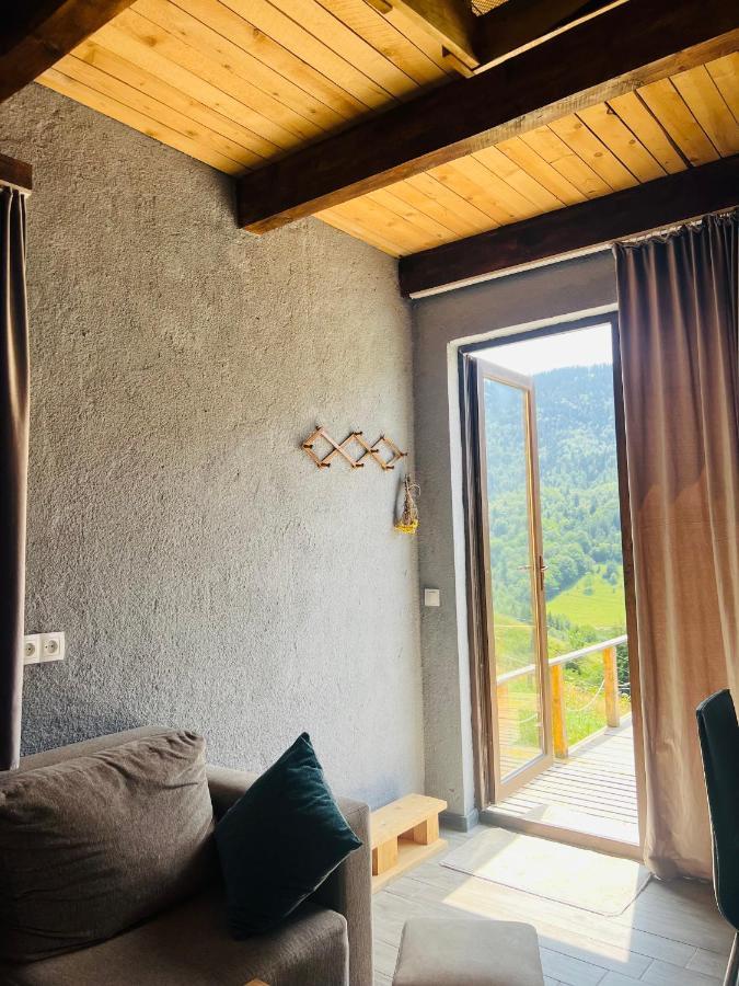 Mitarbi Silence - Cozy Holiday Cottages In Mountains Borjomi Εξωτερικό φωτογραφία