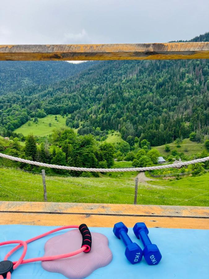 Mitarbi Silence - Cozy Holiday Cottages In Mountains Borjomi Εξωτερικό φωτογραφία