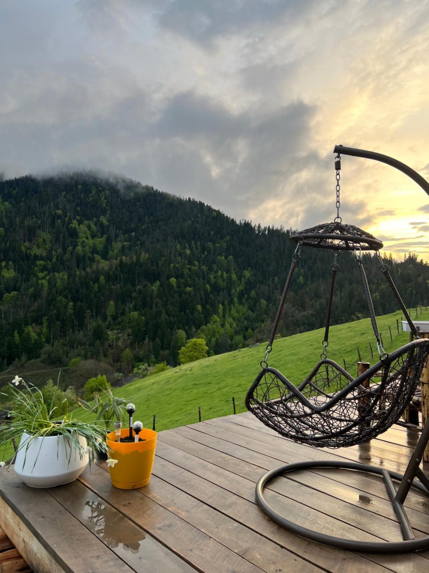 Mitarbi Silence - Cozy Holiday Cottages In Mountains Borjomi Εξωτερικό φωτογραφία